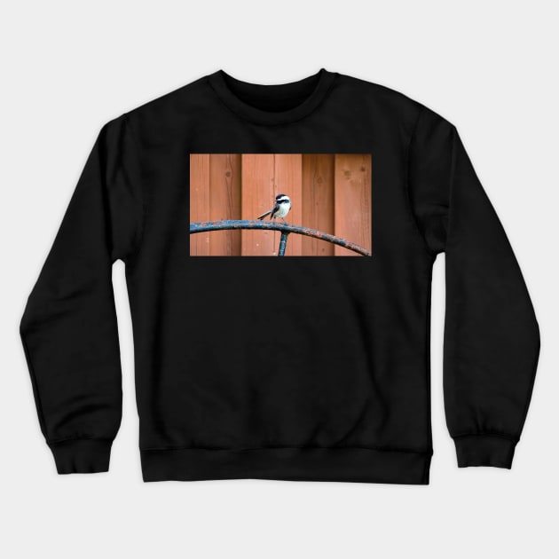 Black-capped Chickadee Standing On A Wheel Crewneck Sweatshirt by BackyardBirder